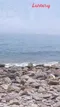 Sea, Sun & Sex